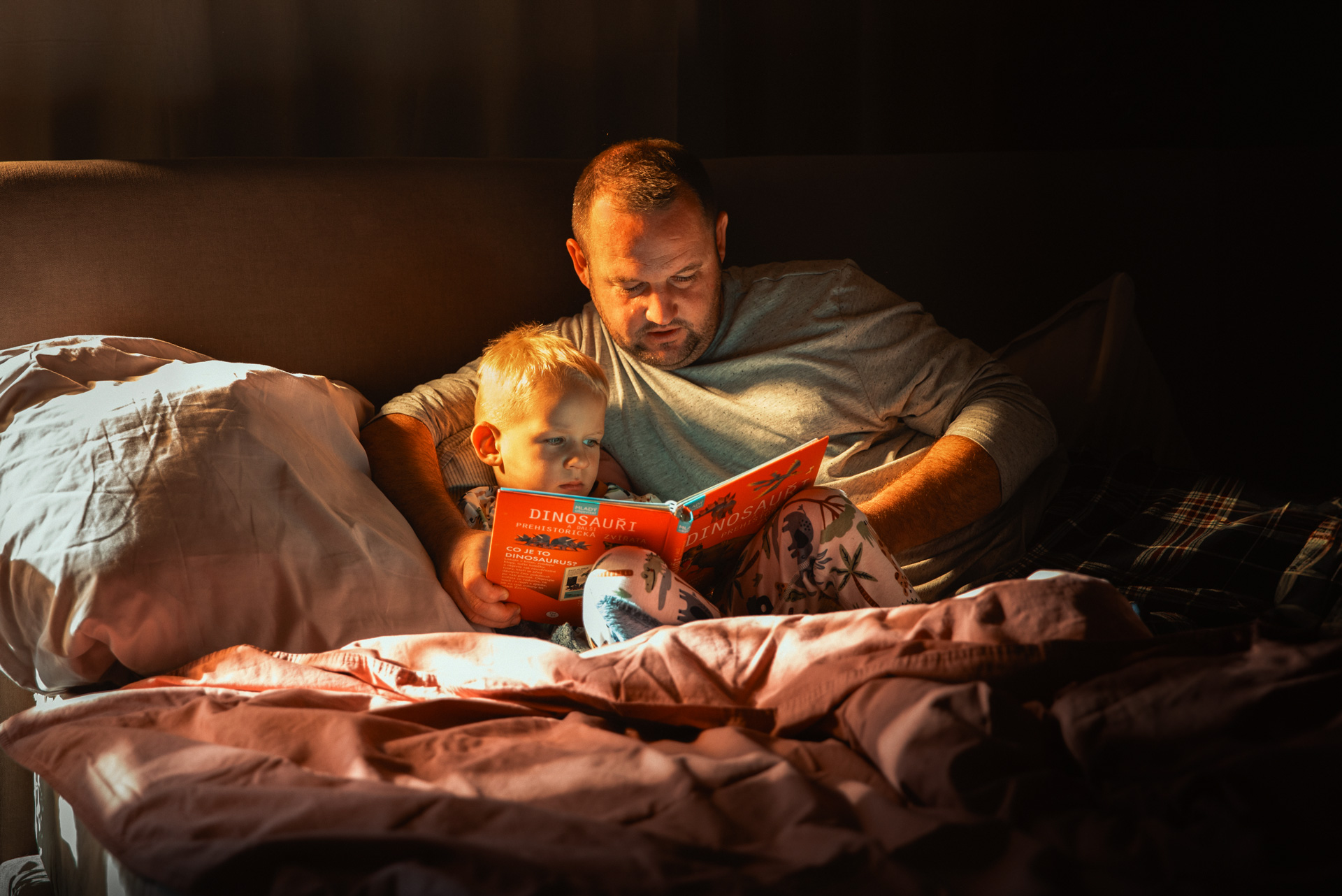 Dum_Ronalda_McDonalda_Prague