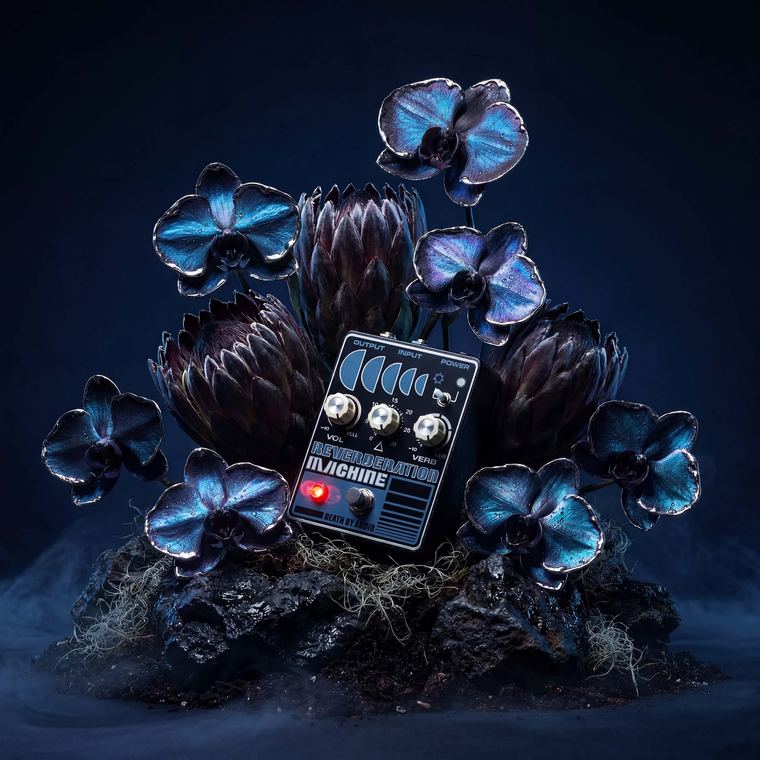 The_Beauty_Of_Noise_Death_by_Reverberation-1