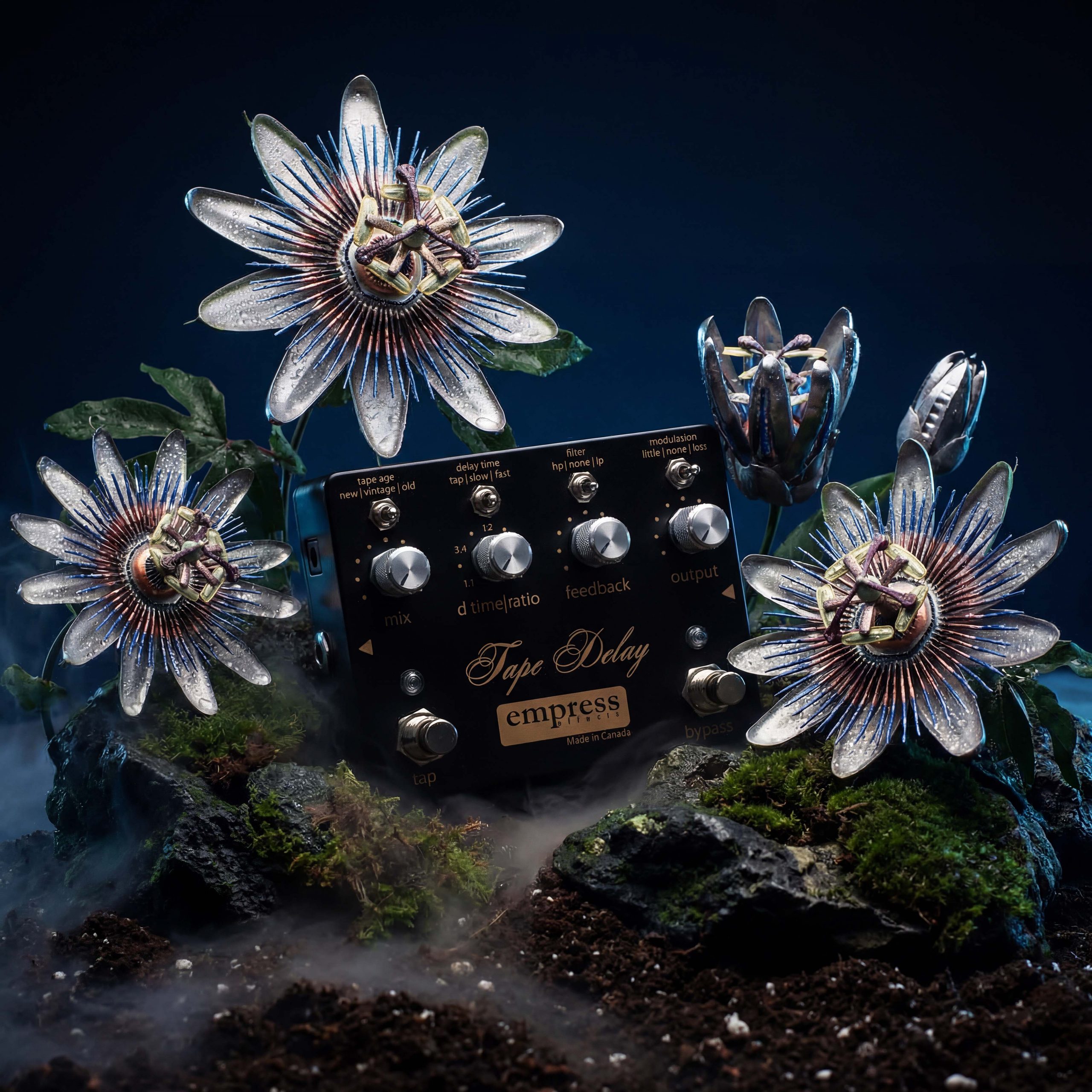 The_Beauty_Of_Noise_by_Tape_Delay_Empress